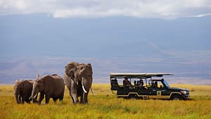 Amboseli